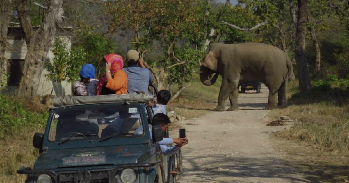 Jeep Safari In Jim Corbett National Park