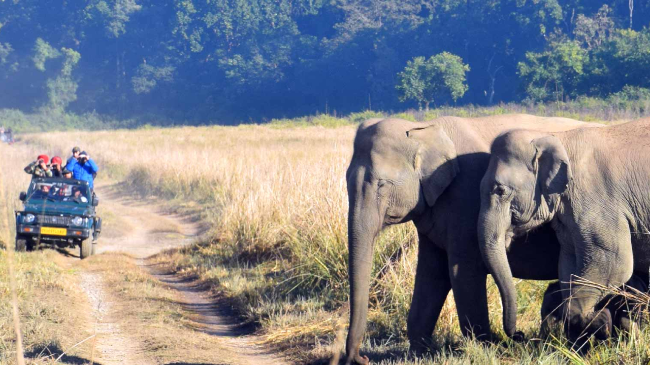 Dhikala 2N/3D Tour in Jim Corbett National Park
