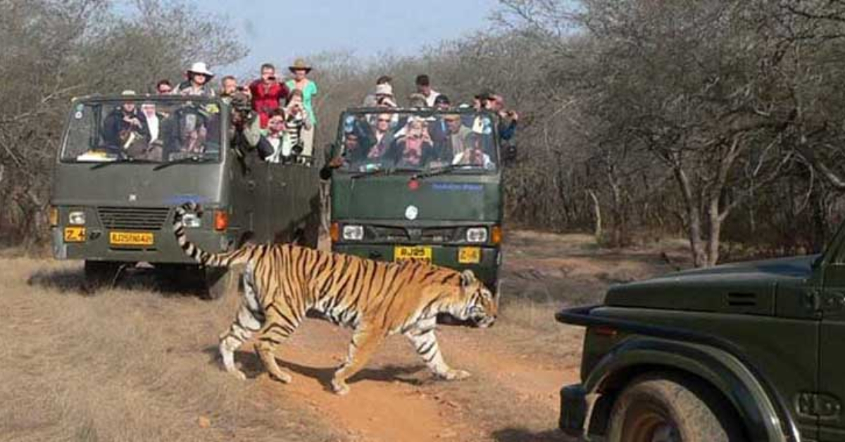 Dhikala Canter Safari In Jim Corbett National Park