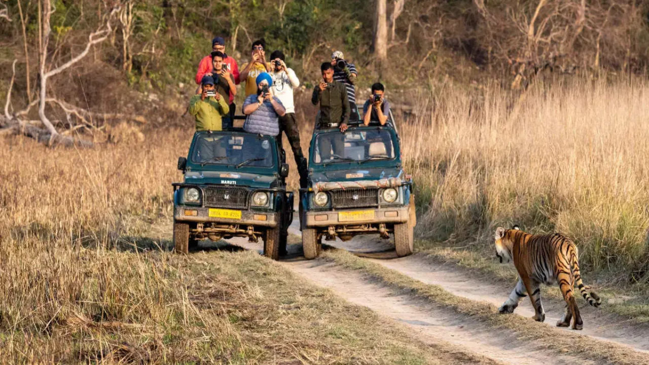 Corbett Tiger Tour In Jim Corbett National Park