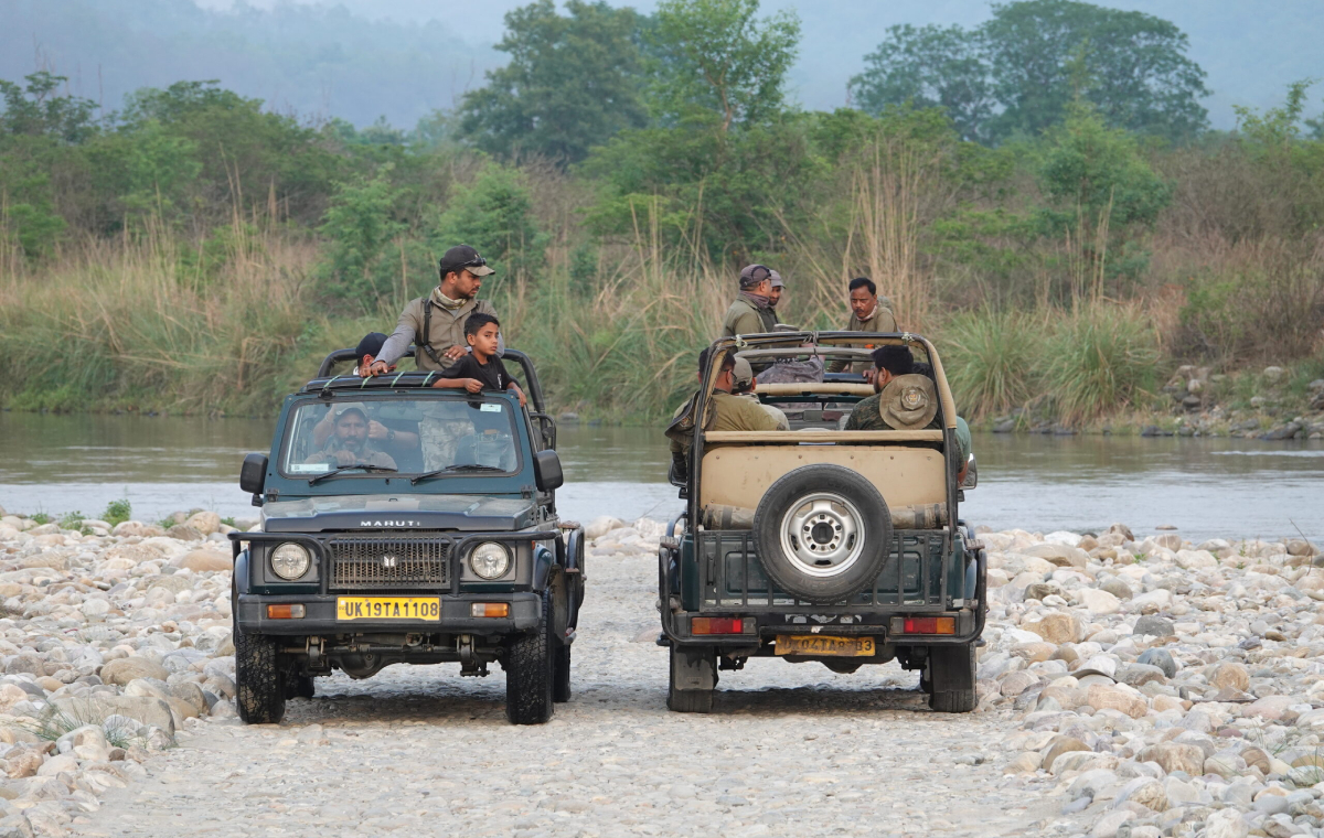 The Ultimate Guide to Jeep Safari in Jim Corbett: Price, Zones, & Official Booking