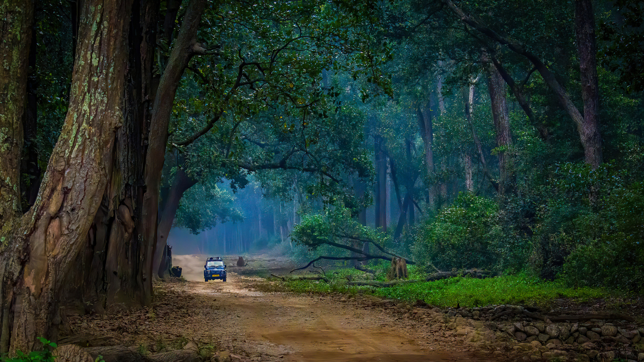 About Jim Corbett National Park